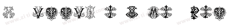 Intellecta Roman Tal字体转换